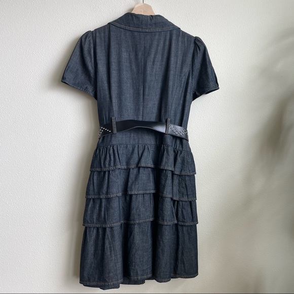 Moiselle Denim Ruffle Designer Dress - Picture 7 of 12